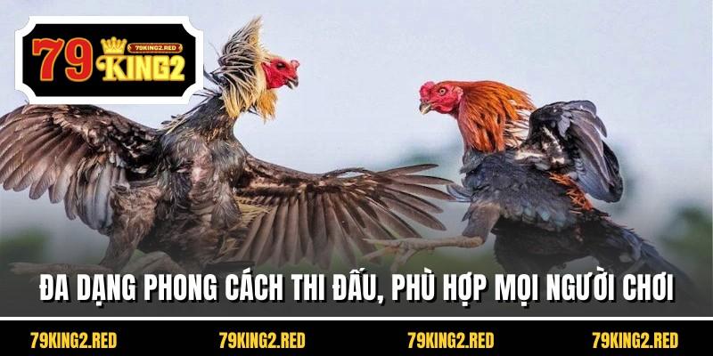 Đa dạng phong cách thi đấu, phù hợp mọi người chơi
