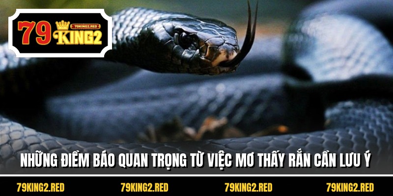 Những điềm báo quan trọng từ việc mơ thấy rắn cần lưu ý