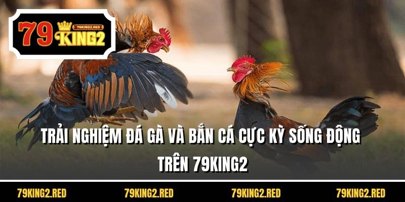 Trải nghiệm đá gà và bắn cá cực kỳ sống động trên 79KING2